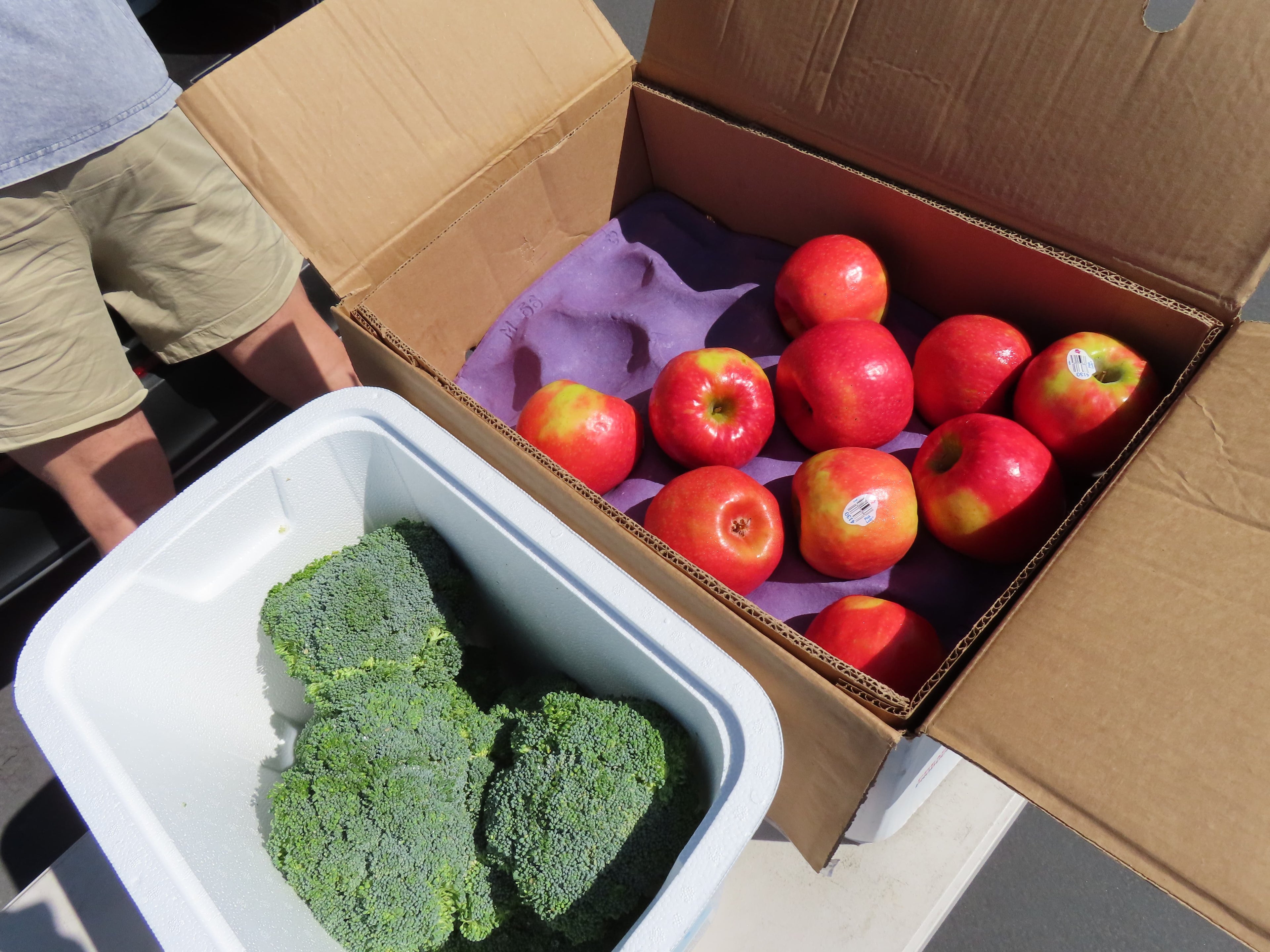 Farm Box — One-Time or Free Pickup