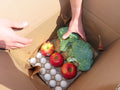 Farm Box — One-Time or Free Pickup